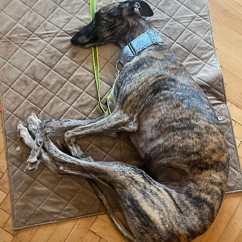 PHOTO-2024-09-22-22-09-25 2