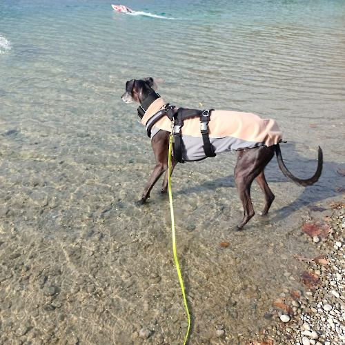 PHOTO-2023-02-19-15-25-56