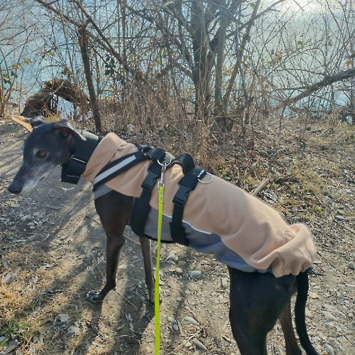 PHOTO-2023-02-19-15-25-58