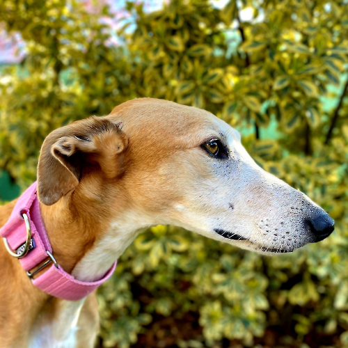 431864289_720865960197242_6460593472508560_n