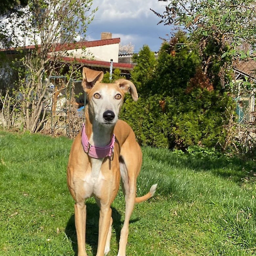 431924332_720865930197245_63935359485635145_n