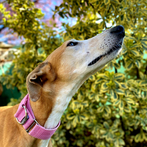 432012934_720865663530605_5919416238823400489_n