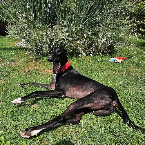 536280191_1071628988454269_8267816017445639130_n