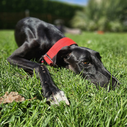 536281066_1071629761787525_9032303800595546062_n