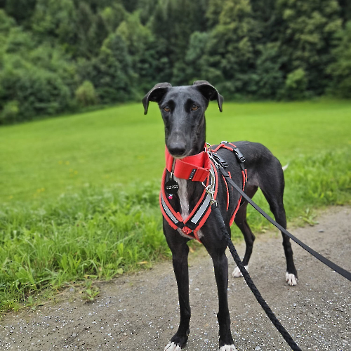 536282535_1071629918454176_4798179985611894528_n