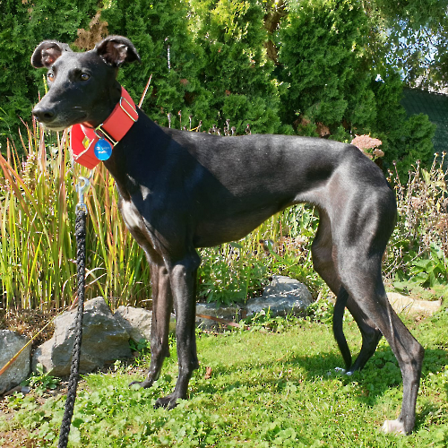 PHOTO-2024-09-24-07-25-13