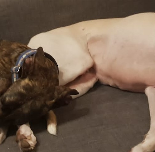 PHOTO-2023-08-14-07-13-01