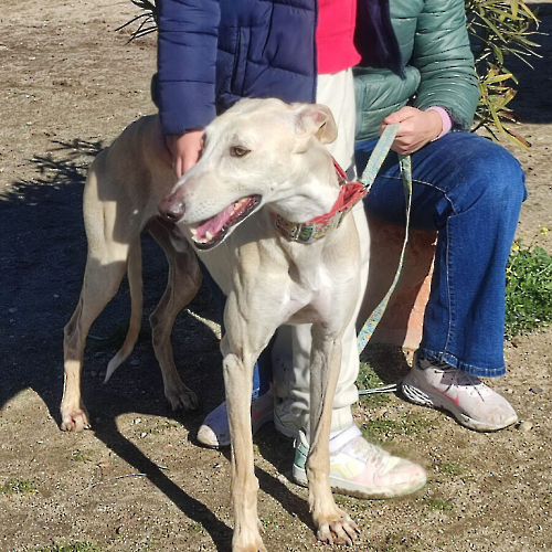 PHOTO-2025-03-29-08-00-03