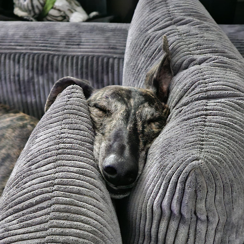 476329079_930760022541167_2605967034998364497_n