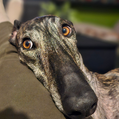 476404997_930759979207838_6953904054305711197_n